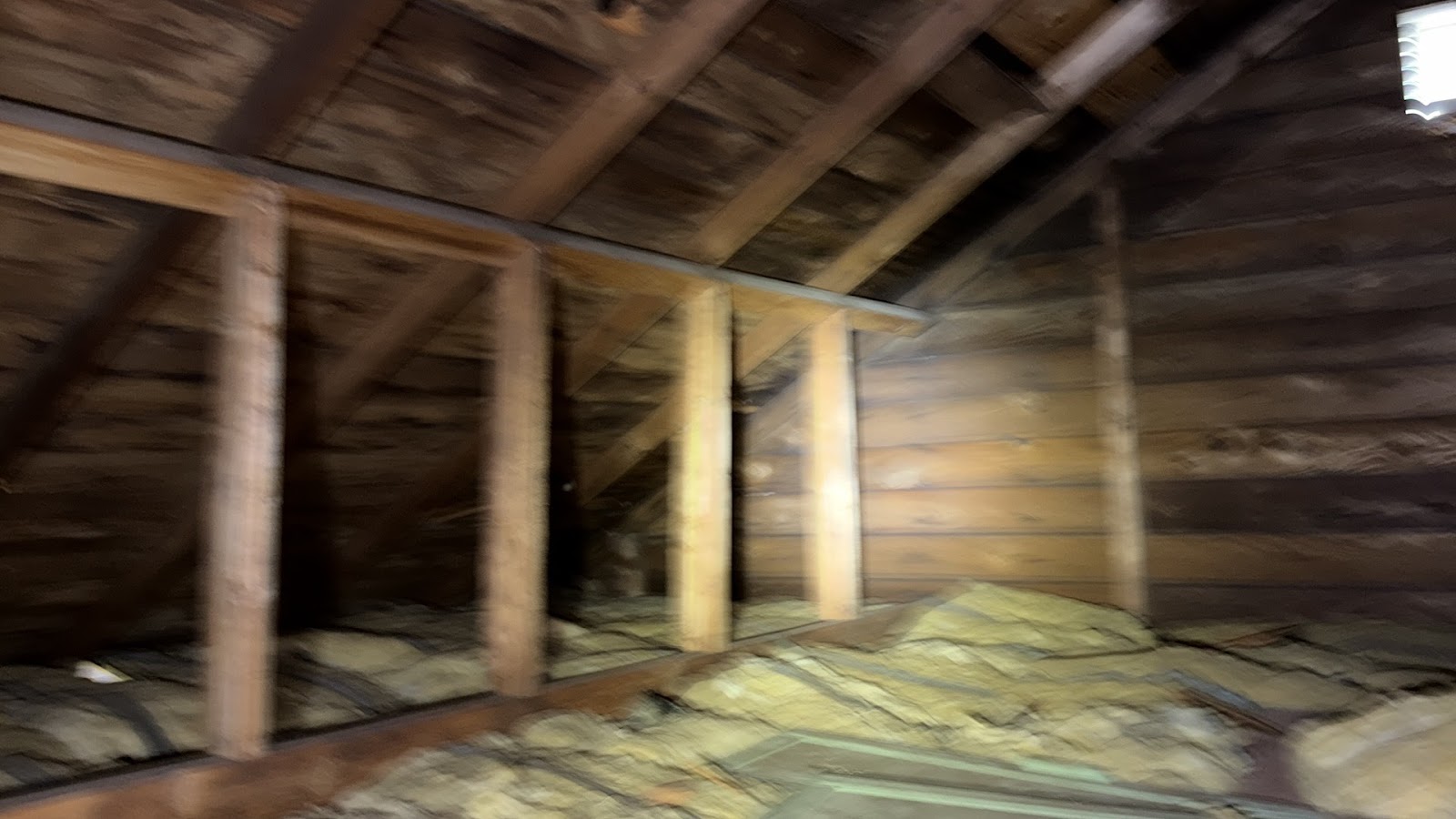 Copy of IMG_2026-03-13_14-12-53_592.jpg