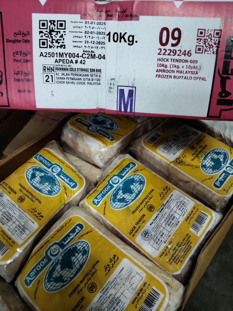 Hock Tendon (09)
