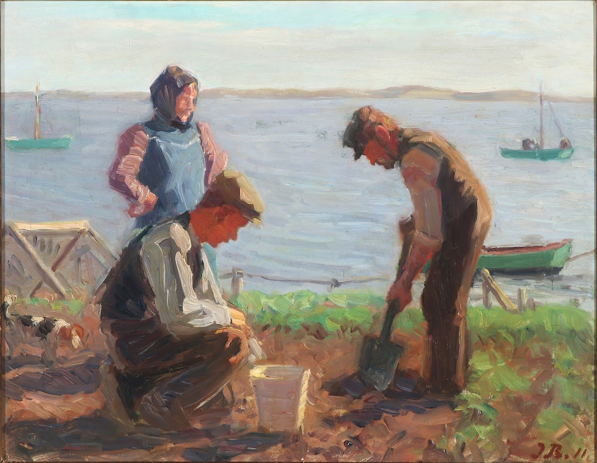 Kartoffeloptagning studie 1911