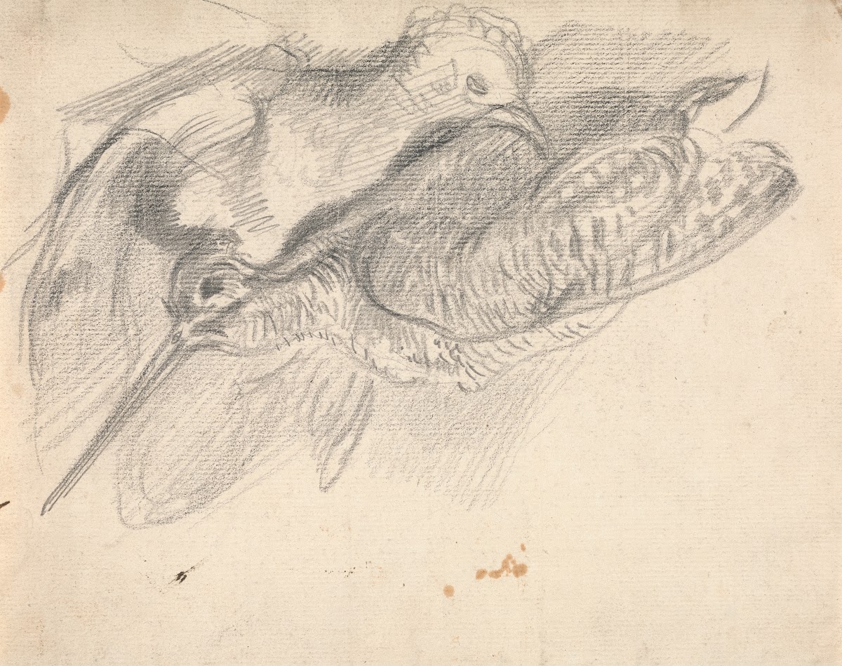 Study of a Dead Woodcock and Another Bird