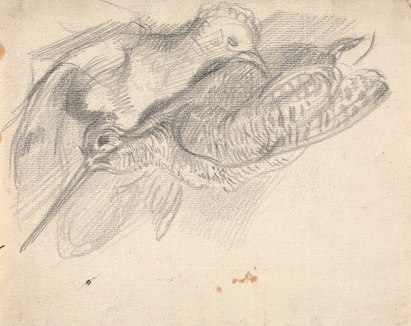 Study of a Dead Woodcock and Another Bird