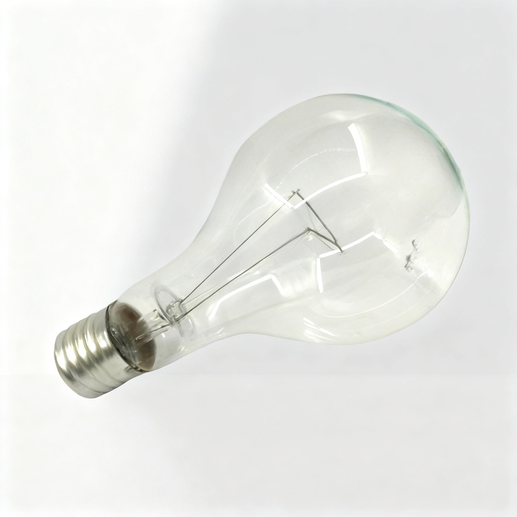 Glühlampe E40 Schraubsockel 110V/220V