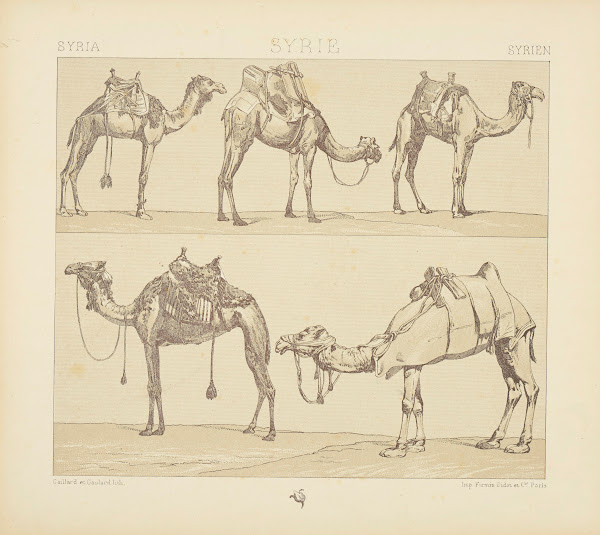 Montures et animaux de transport 1876 1888