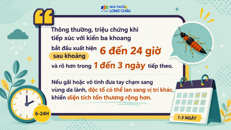 mua-mua-de-gap-kien-ba-khoang-ban-da-biet-cach-xu-tri-dung-2.png
