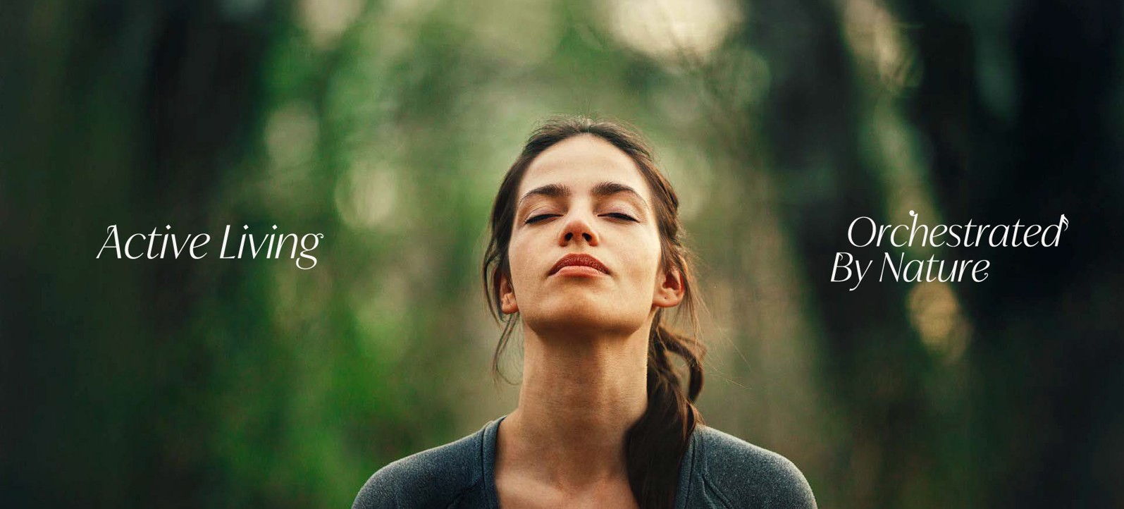 Ghafwoods gallery image 1