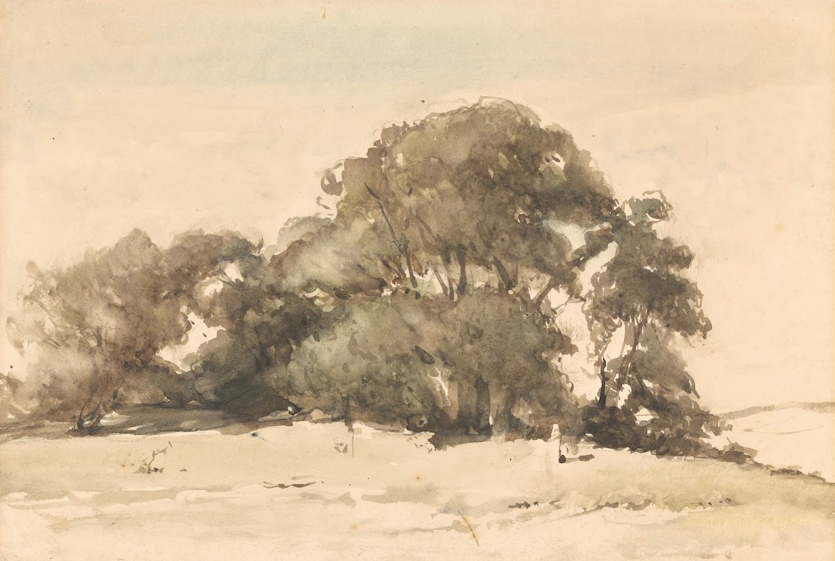 In de duinen bij Wassenaar c 1873   c 1875