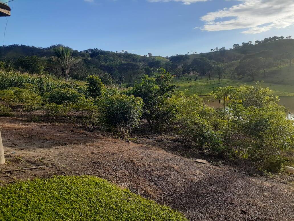 Fazenda no Município de Padre Bernardo - GO 4