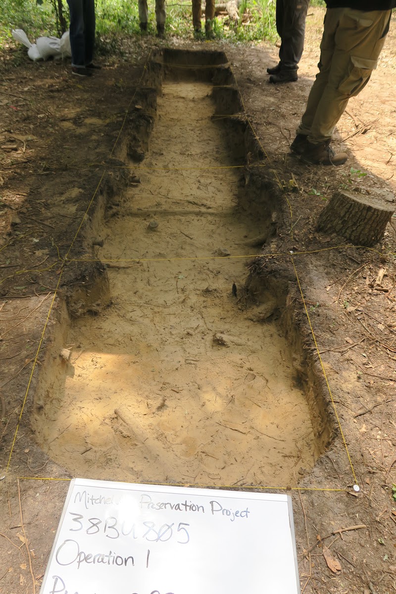 Summer 2018 – Image 06