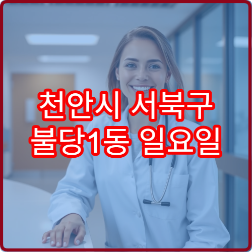 천안시 서북구 불당1동 일요일 치과 진료 병원 주말 보철 상담