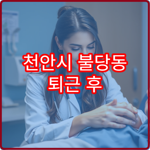 천안시 불당동 퇴근 후 방문할 수 있는 성형외과 야간 진료 병원