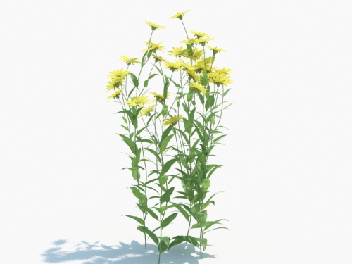 Maxtree - Plant Models Vol.3