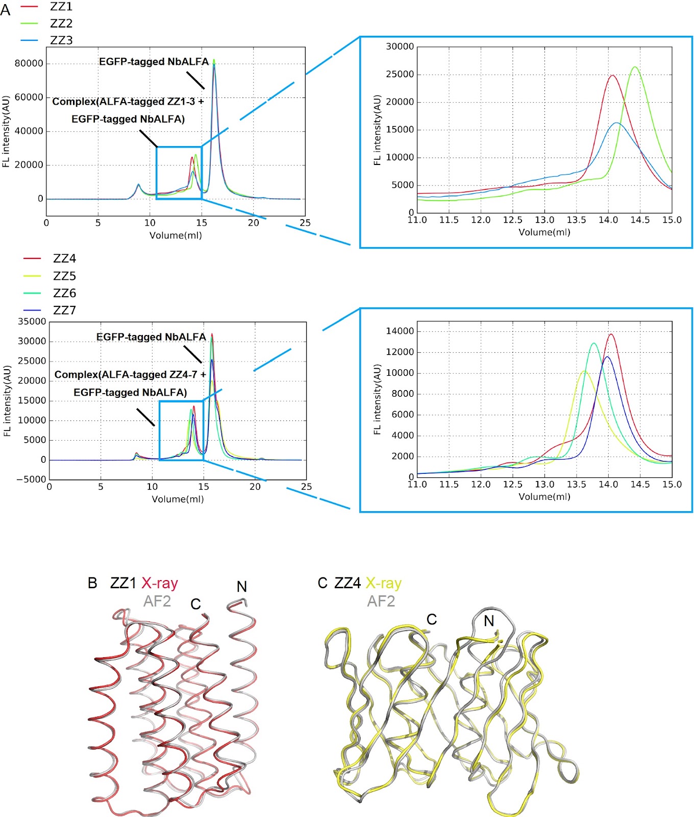 Bioinformatics classification of the MgtE Mg2+ channel and de novo protein design for the stabilization of its novel subclass