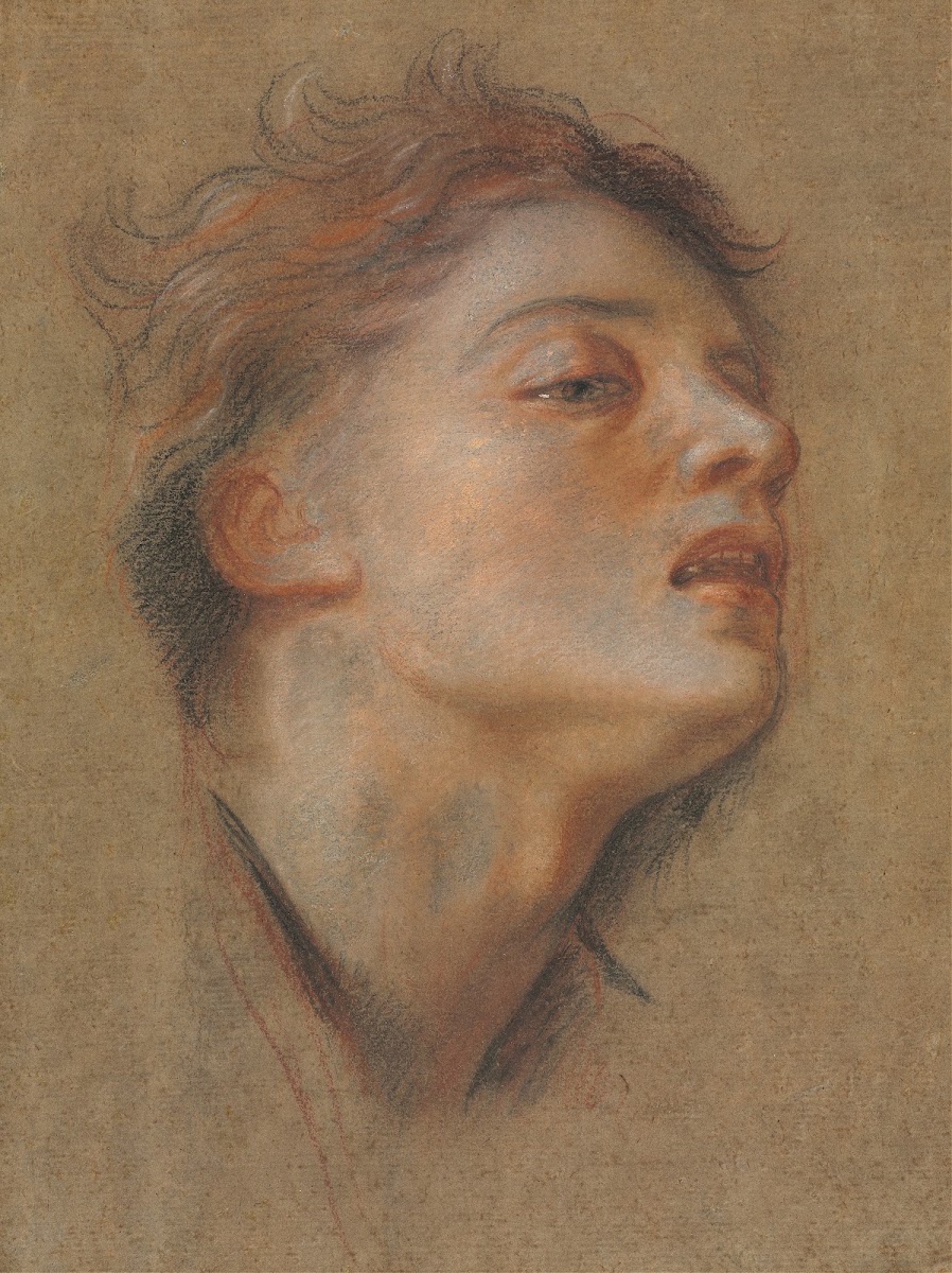 Head of a Young Man 1715 1717