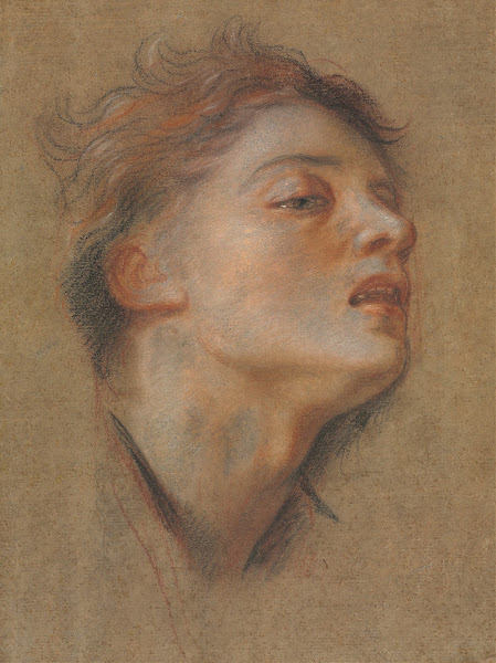 Head of a Young Man 1715 1717