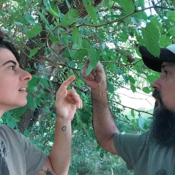 La rebelión de las plantas
