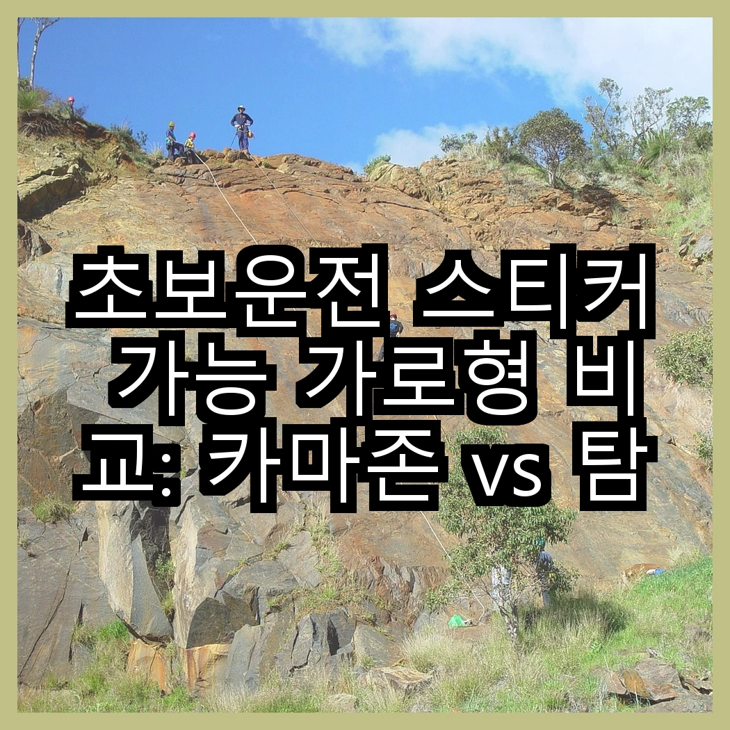 초보운전 스티커 가능 가로형 비교: 카마존 vs 탐사, 어떤 선택이 더 현명할까요? 썸네일