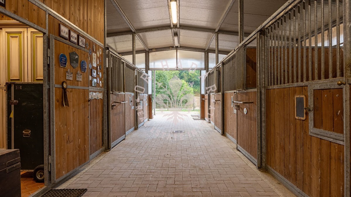אחוזת קאוואלי צ'לטי (Tenuta Cavalli Celti) — 21