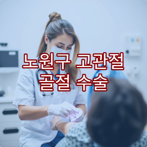 노원구 고관절 골절 수술 재활 잘하는 병원 추천