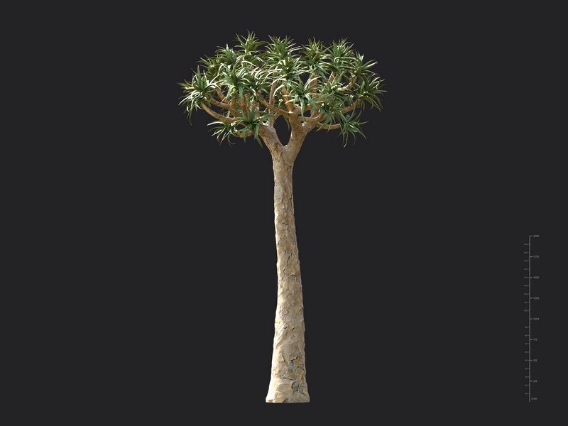 Maxtree - Plant Models Vol.130