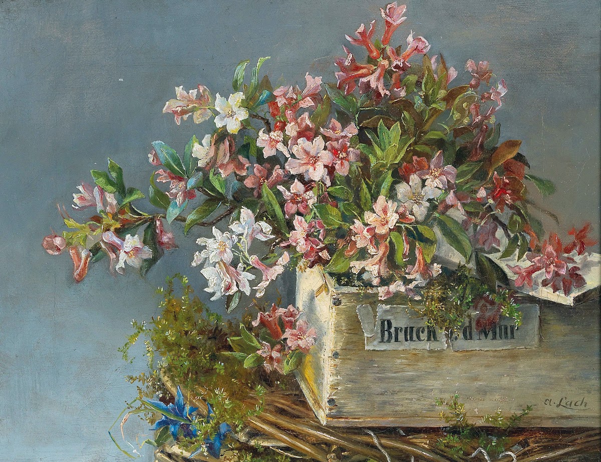 Alpine Roses In A Window Box