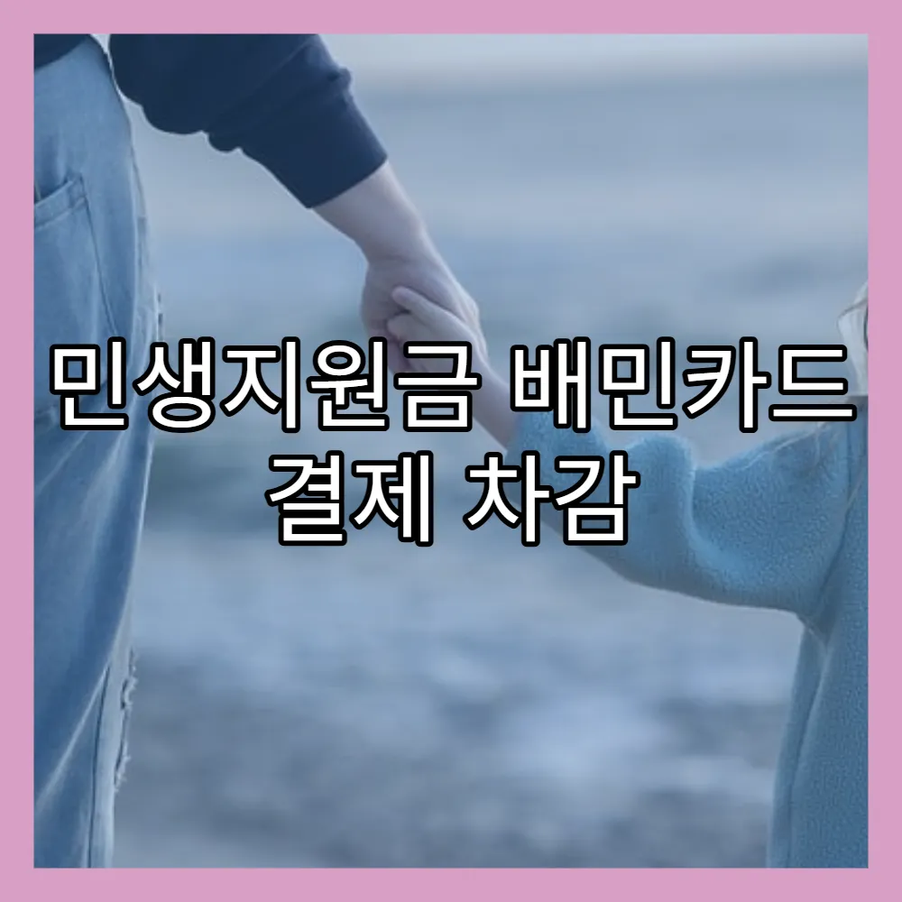 민생지원금 배민카드 결제 차감 방식(+현장결제, 자동적용)