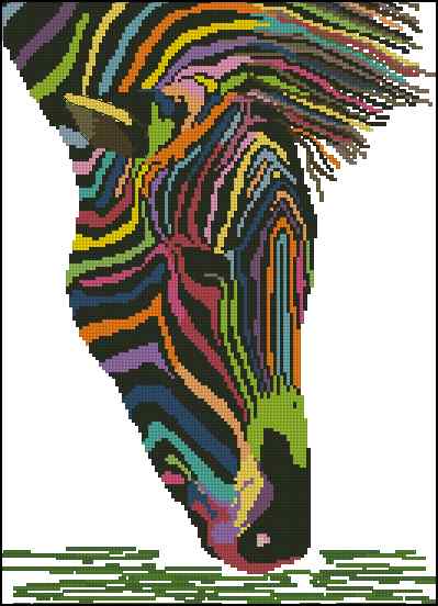 CMP 400641 Zebra In Rainbow