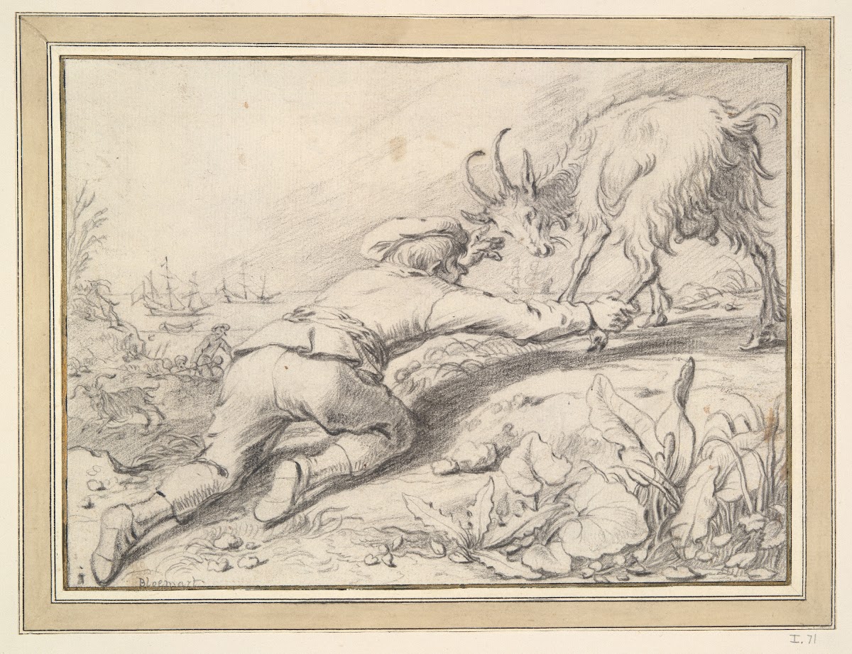 Boy catching a goat