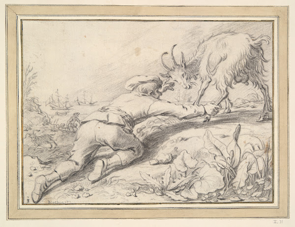 Boy catching a goat
