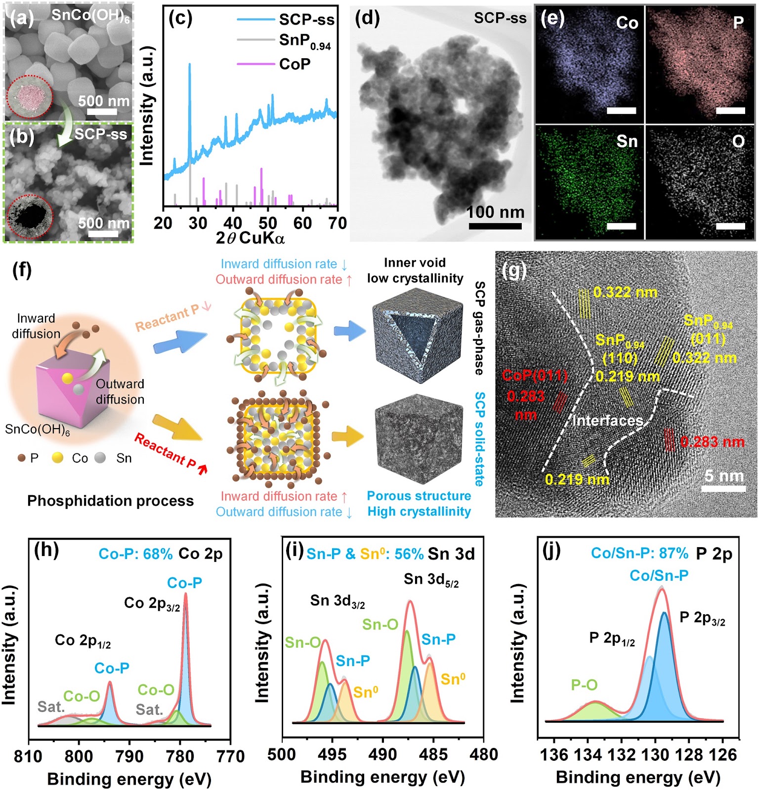 Designing Metal Phosphide Solid-Electrolyte Interphase for Stable Lithium Metal Batteries Through Electrified Interface Optimization and Synergistic Conversion