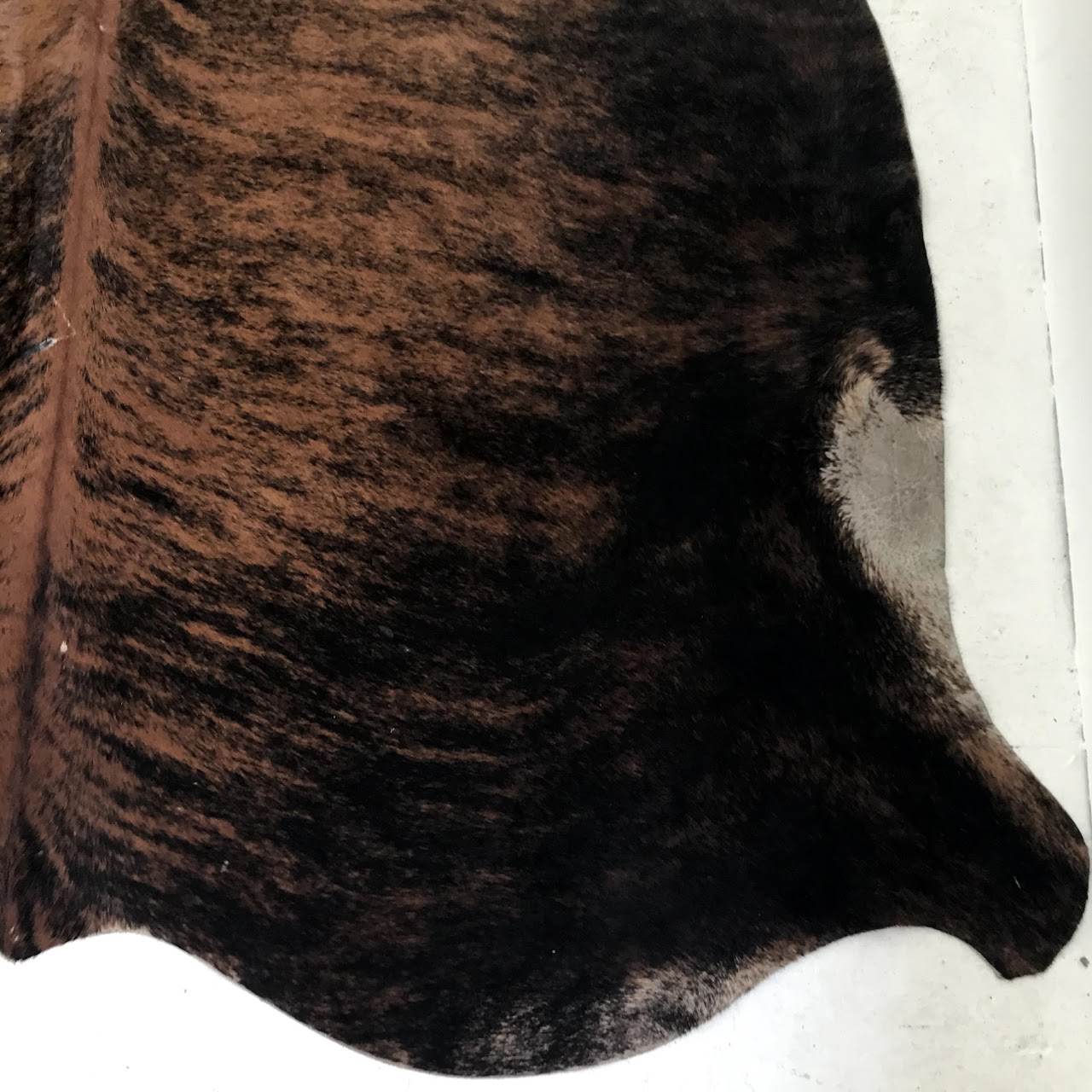 Safavieh Brindle Cowhide Area Rug