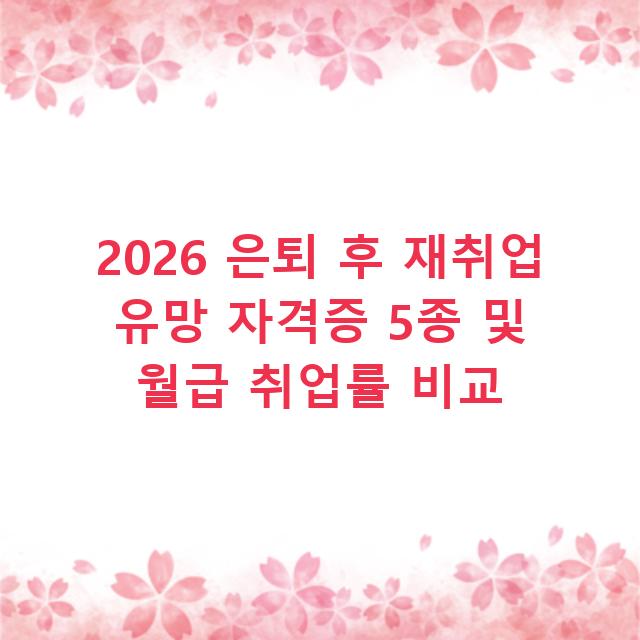 2026 은퇴 후 재취업 유망 자격증 5종 및 월급 취업률 비교