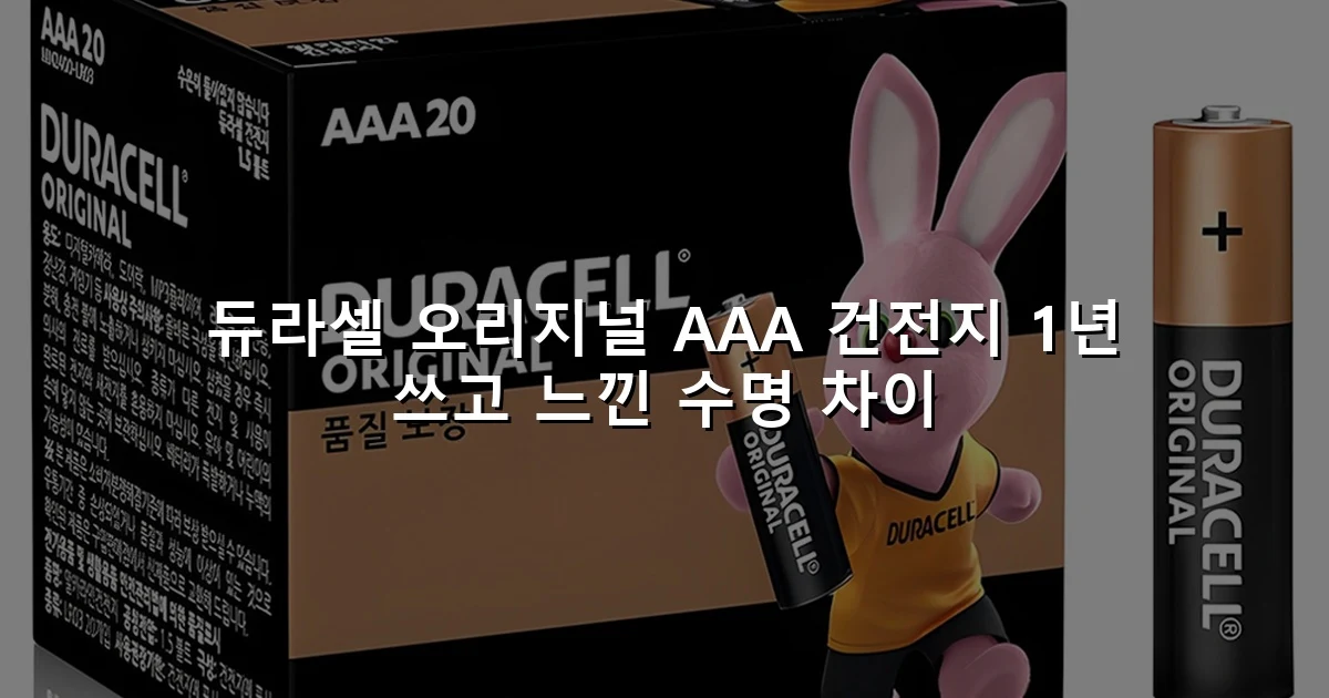 듀라셀 오리지널 AAA 건전지 1년 쓰고 느낀 수명 차이
