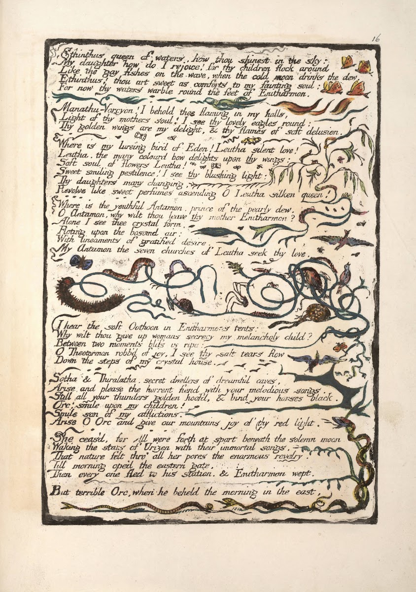 Ethinthus queen of waters  1794