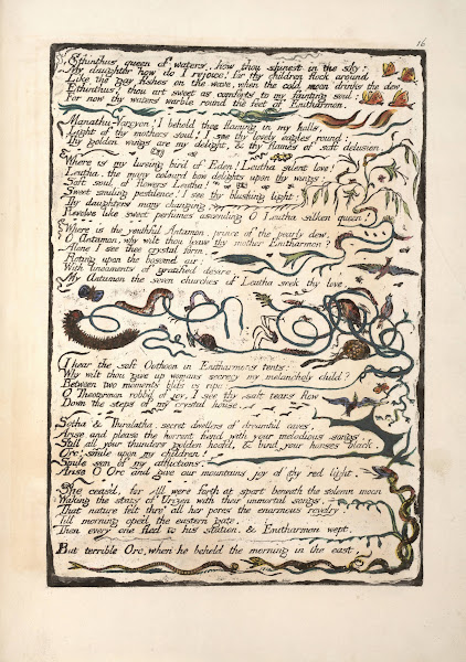 Ethinthus queen of waters  1794