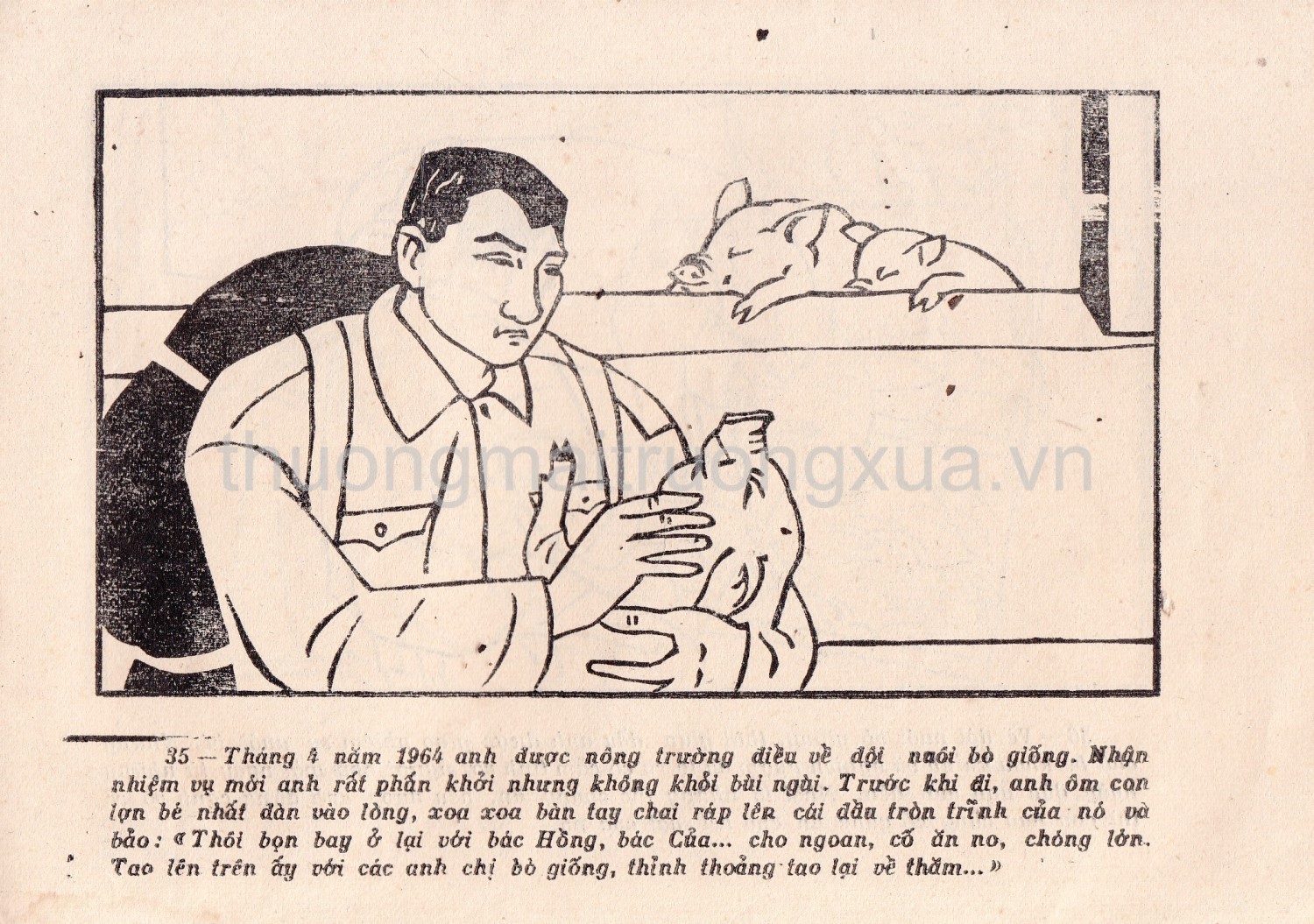 Anh hùng lao động Hồ Giáo - Trang 23