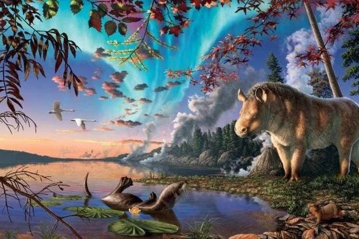 Chuyên gia phát hiện loài tê giác mới tại Bắc Cực - Báo Tri thức &amp; Cuộc sống