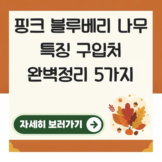 핑크 블루베리 나무 특징 구입처