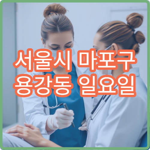 서울시 마포구 용강동 일요일 정형외과 허리통증 진료