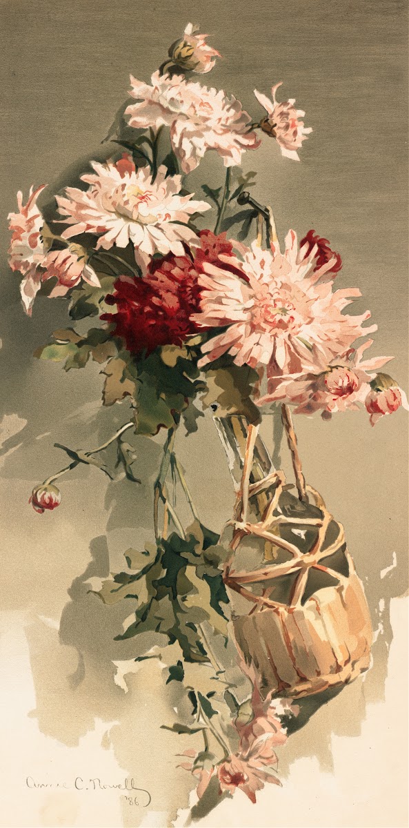 Chrysanthemums No 4 ca 18611897