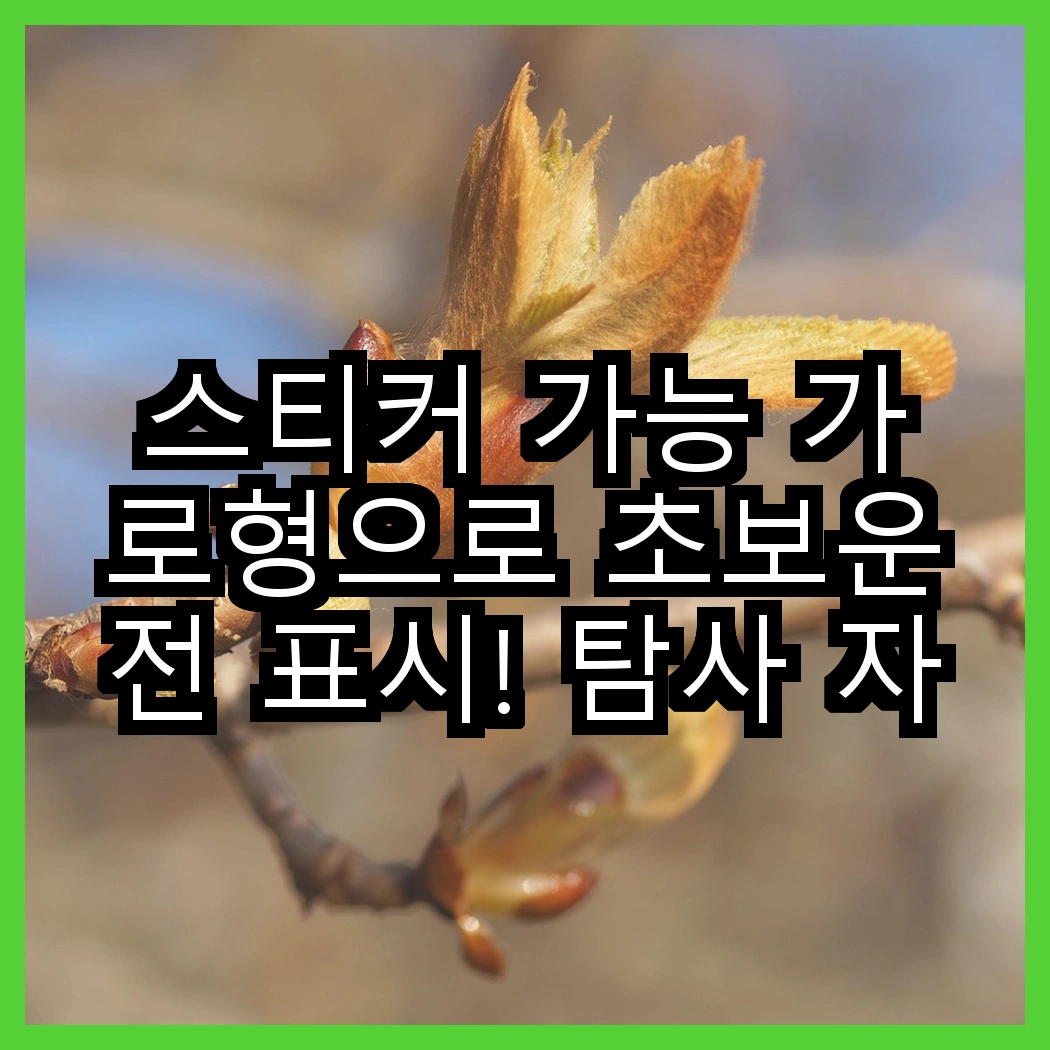 스티커 가능 가로형으로 초보운전 표시! 탐사 자석 vs 카마존, 당신의 선택은? 썸네일