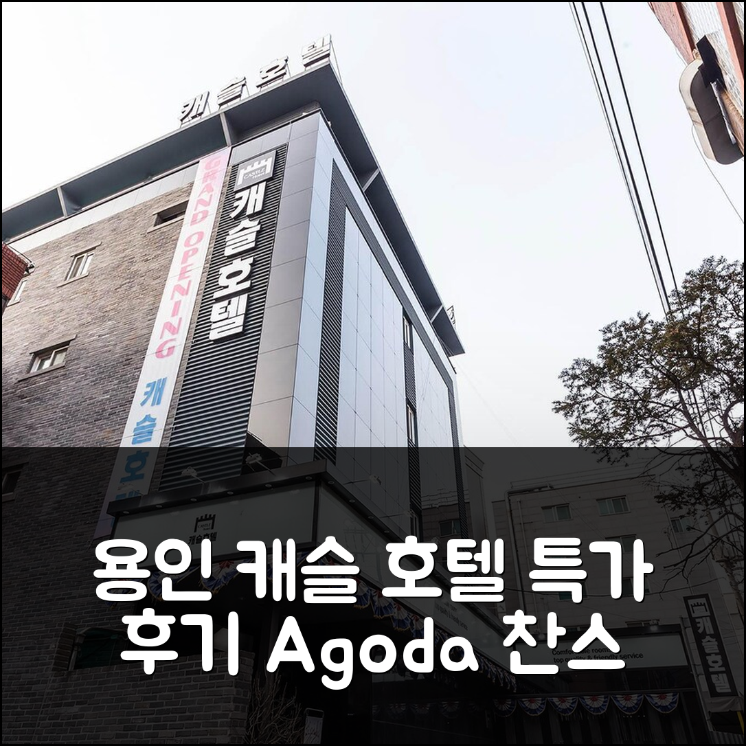 용인 캐슬 호텔: 용인 시내 특가 예약 후기! - 아고다 호텔 추천