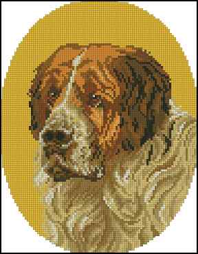 CMP 400535 Dog Portrait