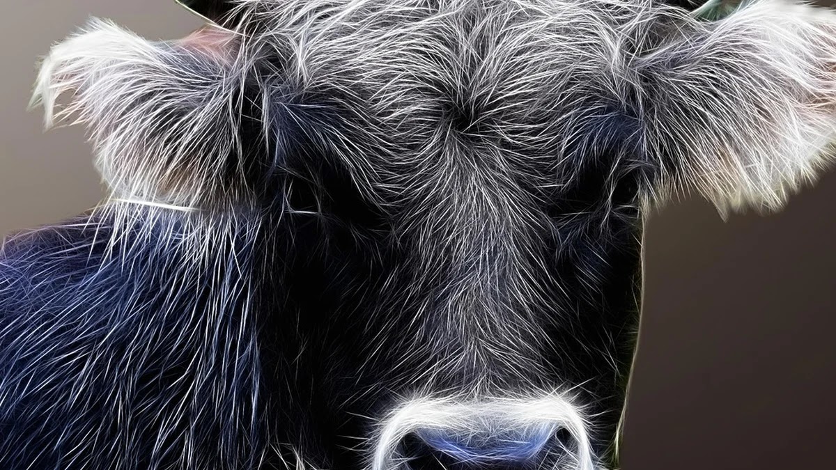 챗GPT 플러그인 설치와 활용법 단계별 가이드