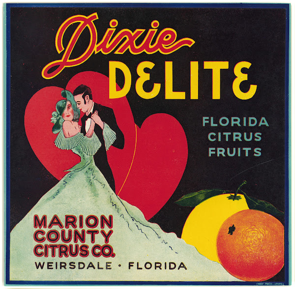 Dixie Delite Florida Citrus Fruit Label 1940s