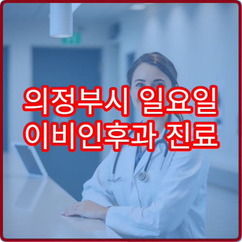 의정부시 일요일 이비인후과 진료 병원 비염·중이염 치료 가능