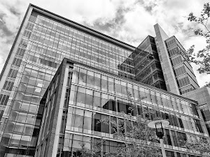 Baltimore’s Philanthropic Powerhouse: Third Eight-Figure University Donation in Just Two Months