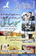 Rohani Digest January 2015 Download PDF