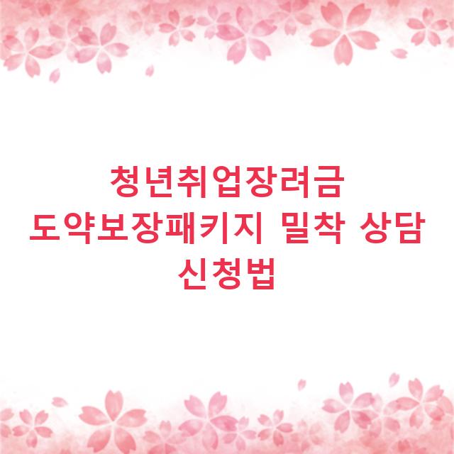 청년취업장려금 도약보장패키지 밀착 상담 신청법