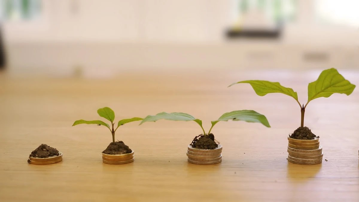 개인 신용대출 상품별 금리 산정 구조와 조건별 유불리