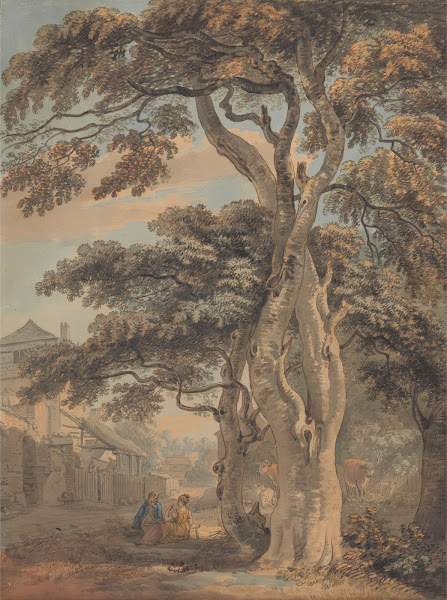 Couple in a Farmyard